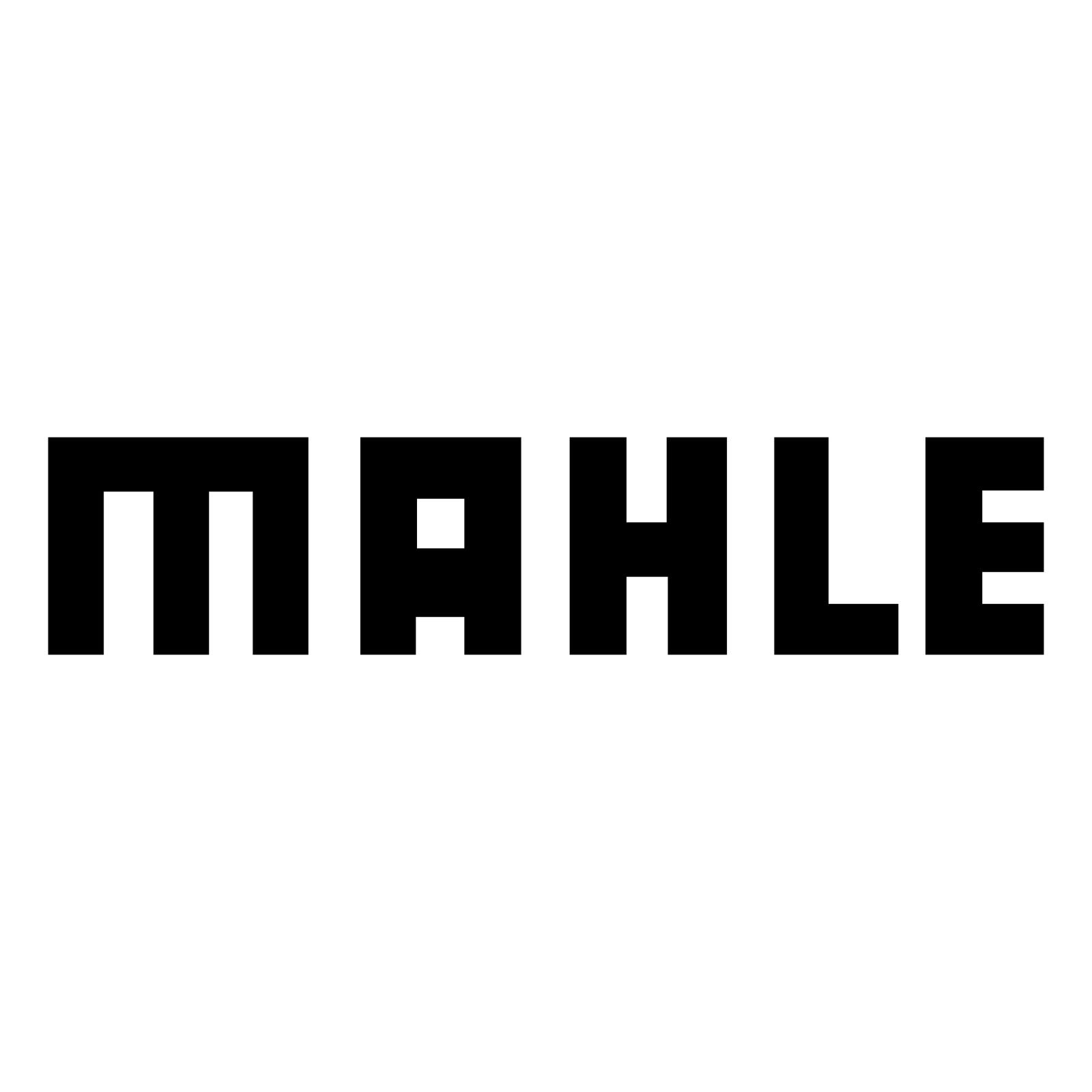 MAHLE MAHLE
