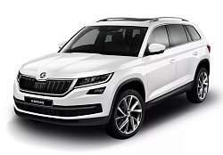 Skoda Kodiaq 1 поколение (2017 - Н.В.)